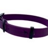 PVC Super Tuff Dog Collars- Purple