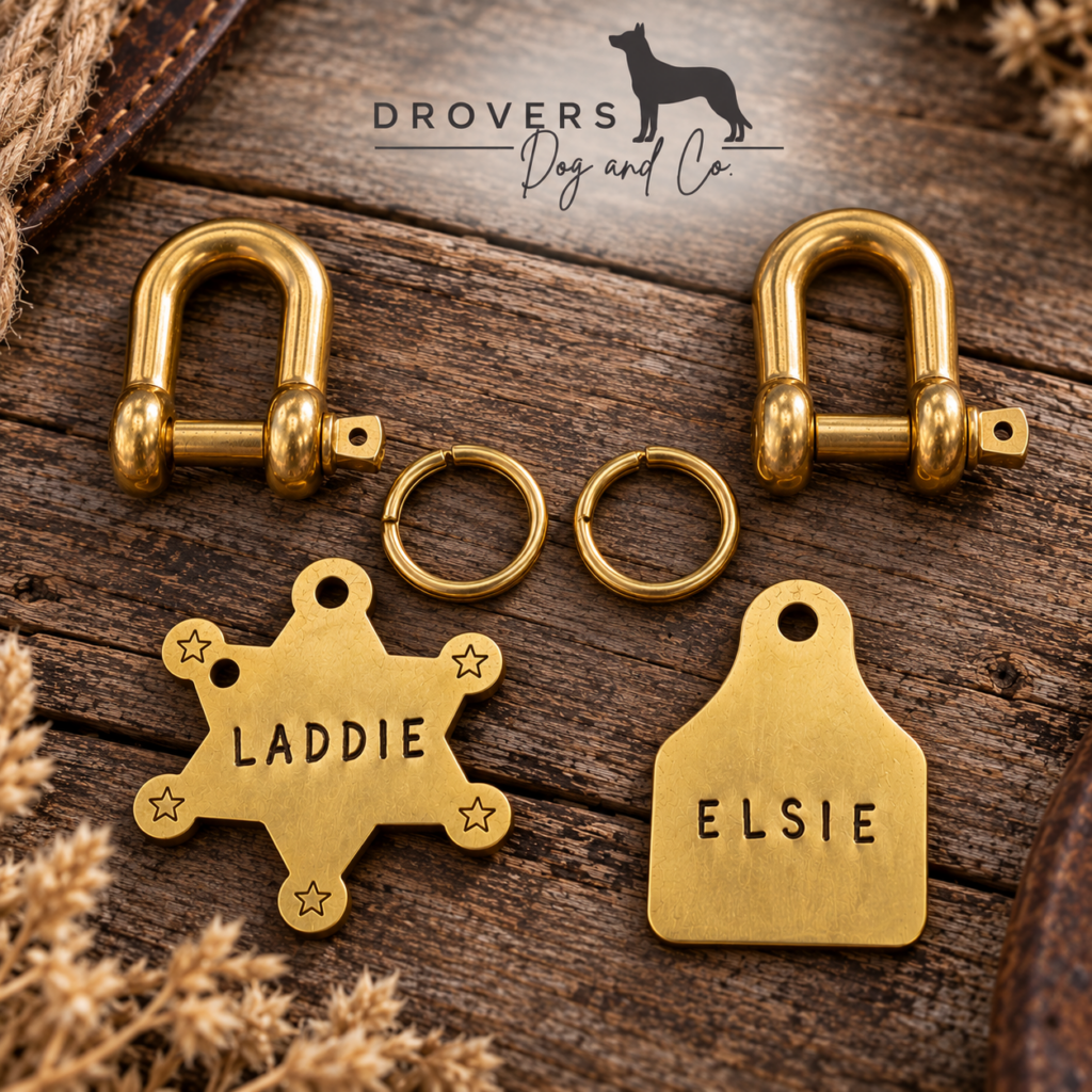Sheriff's Badge, Cattle Tag, Circle & Vintage Dog Tags — Brass
