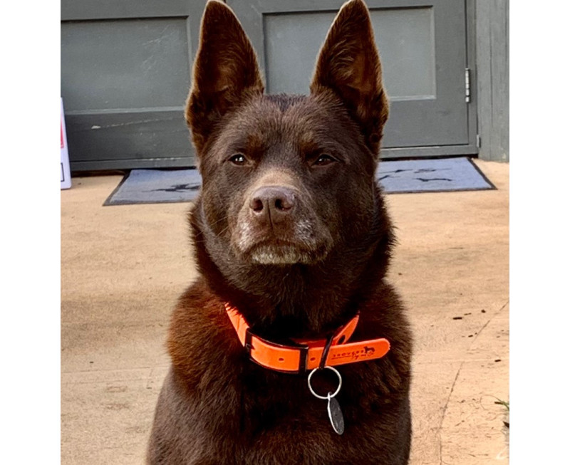 F626711c 76b0 4216 9ab3 2fc320856537 (1)