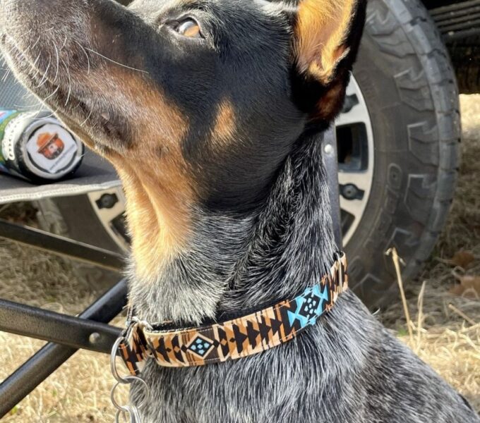 Redwood Handmade Slip Collars