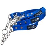PVC Martingale Collar Blue