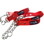 PVC Martingale Collar Red