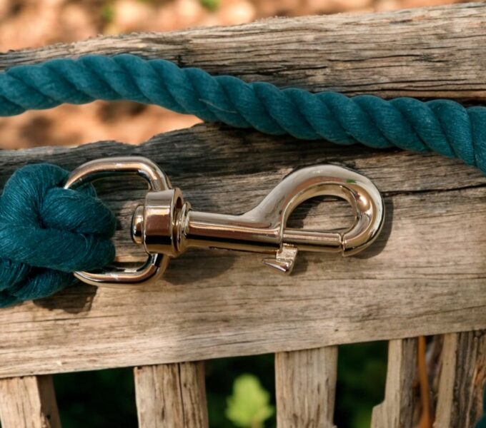 Premium Organic Cotton Dog Lead – Dark Green