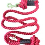 Premium Organic Cotton Dog Lead – Red