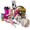 The Ultimate Puppy Gift Box – The Perfect Surprise for Dog Lovers!  GIRL EDITION