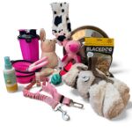 The Ultimate Puppy Gift Box – The Perfect Surprise for Dog Lovers!  GIRL EDITION