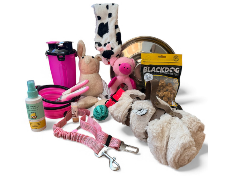 Photoroom 20251217 093226