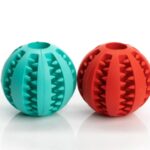 INTERACTIVE CHEW TOY – The Bouncy Ball That Does It All!