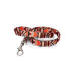Geometric Dog Lead