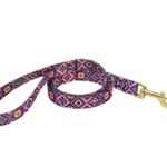 Aztec Dog Lead