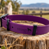 PVC Super Tuff Dog Collars- Purple