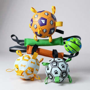 Soccerballs Photoroom