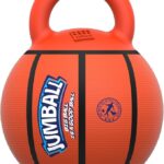 GiGwi Jumball Basketball Orange