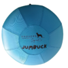 Introducing JUMBUCK – Our Biggest Herding Ball Yet!