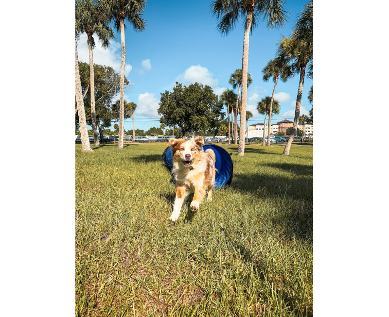 Img 3839