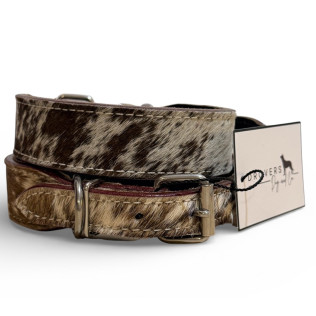 Photoroom 20260223 091736