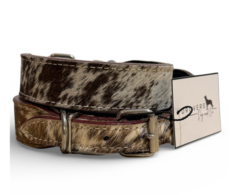 Photoroom 20260223 091736