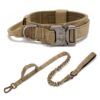 Drovers Dog and Co Tactical Bungee Lead