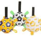 Brightly Colored Interactive Soccer Balls