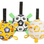 Viral Sensation Interactive Soccer Ball