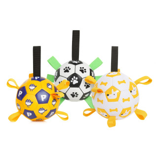 Brightly Colored Interactive Soccer Balls
