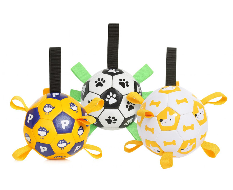 Brightly Colored Interactive Soccer Balls