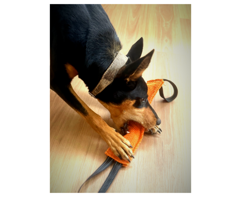 70c92700 3fbc 4776 9413 0afe2f55c03a