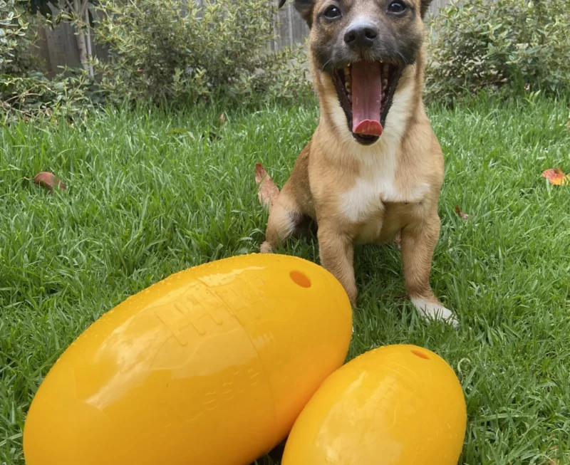 75207040 E8c0 49ca 8ec4 81da17ddb77c Scaled