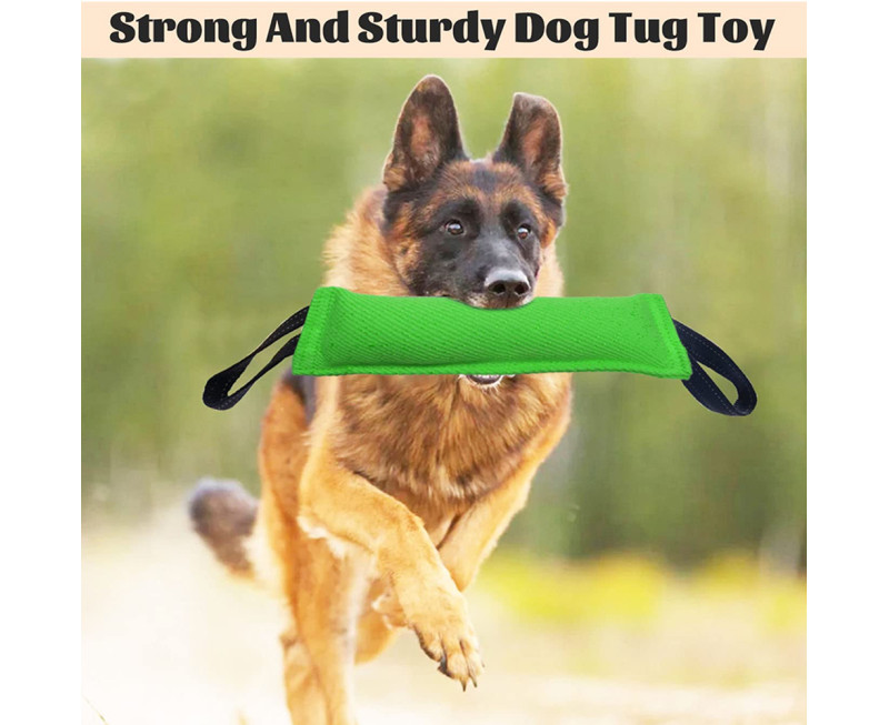 H00a4eb5756a7466fac23a3c43ee9e100o