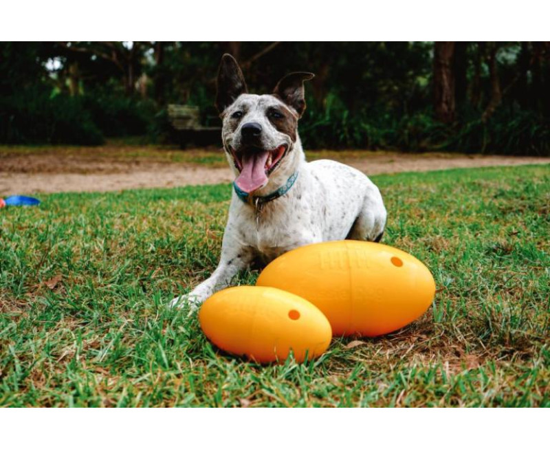 Img 5763 Scaled E1678321781606 768x512