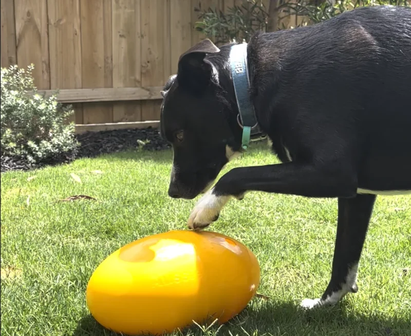 Screen Shot 2021 12 03 At 3.29.08 Pm