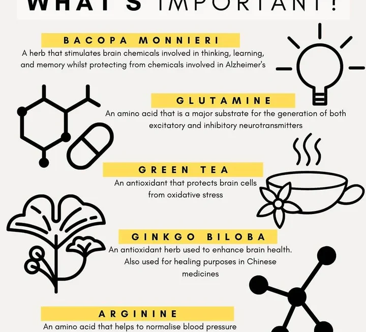 Petzparkbrainsupportfordogs5 720x