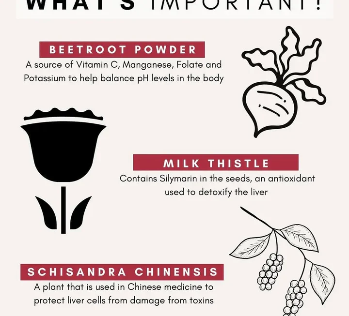 Petzparkliversupportfordogs5 720x