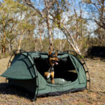 Drovers Dog and Co Brumby Swag