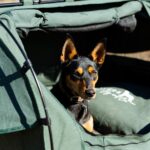 Drovers Dog and Co Brumby Swag