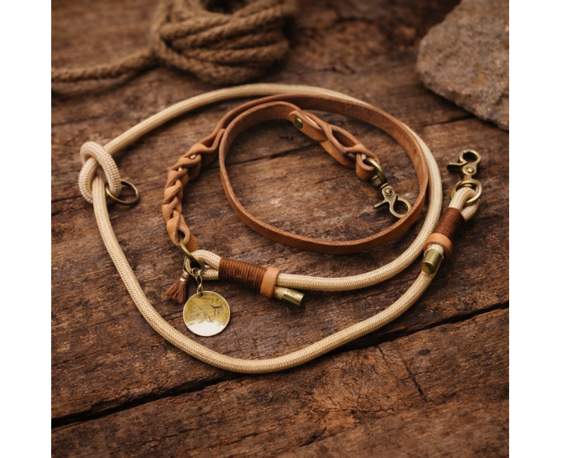 02d8e62e 0e42 4a09 Af11 Cbe1df333894