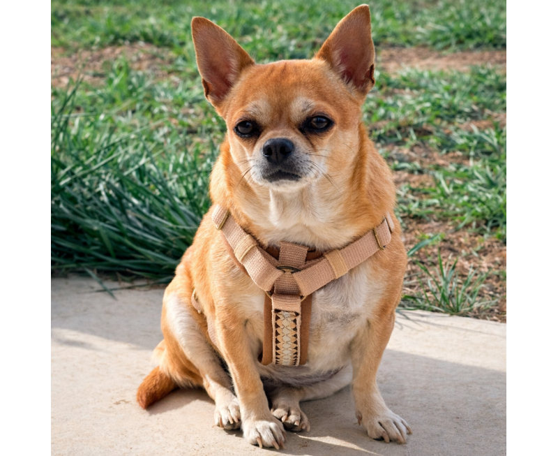 9a83f7c6 9266 4f67 B156 7147bf562351