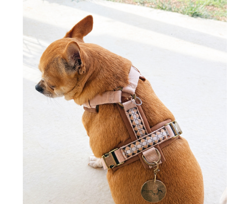 Cc35405a 0fe0 4865 B02b 277c9911ab59