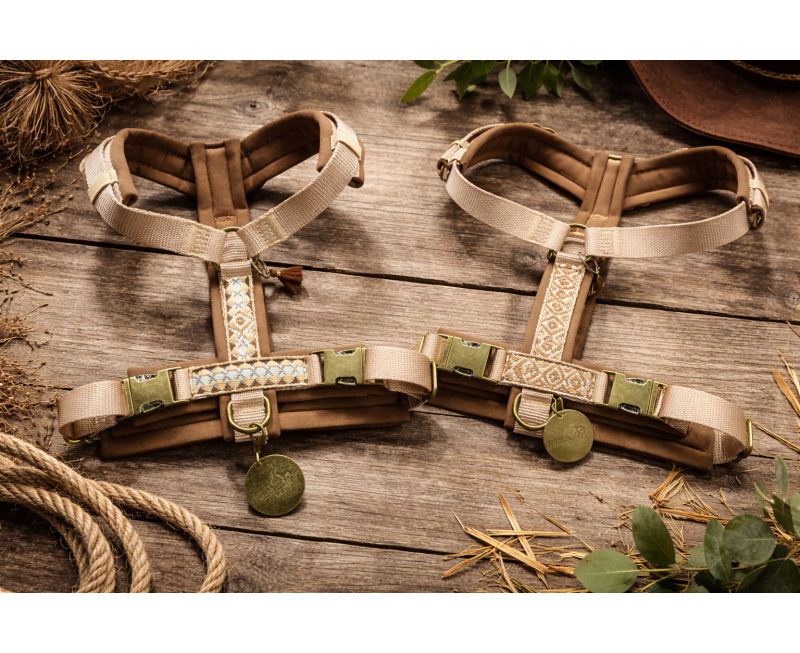 Chatgpt Image Mar 18, 2026, 09 55 34 Am