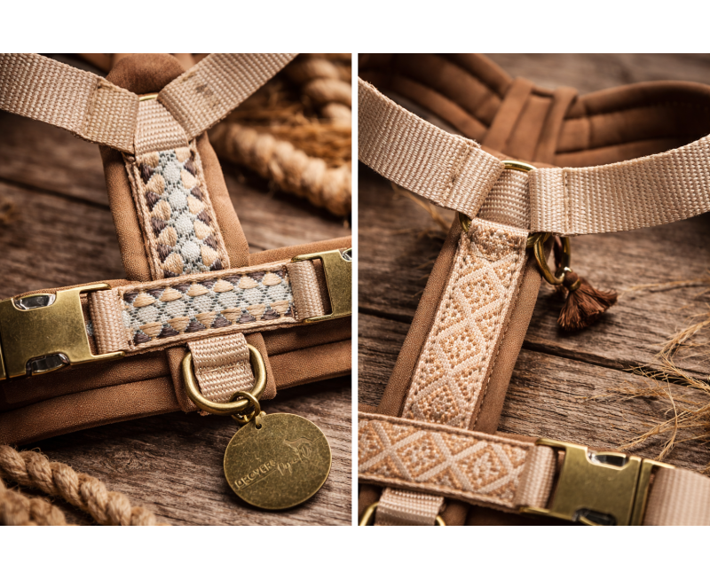 Chatgpt Image Mar 18, 2026, 10 02 54 Am