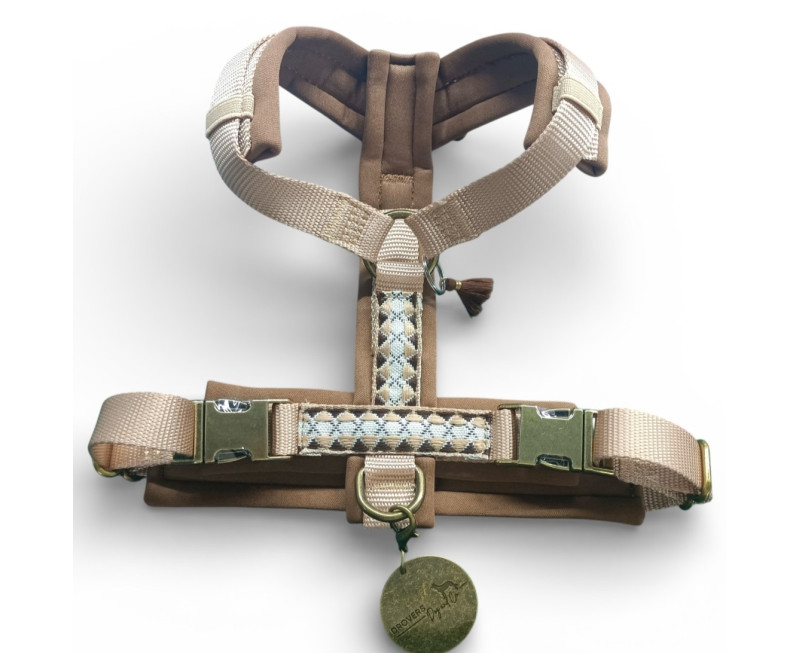 Photoroom 20260220 152145 Copy