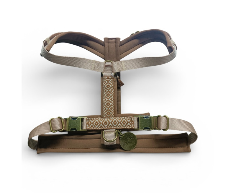 Photoroom 20260220 152547