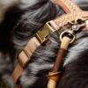Adventure Harness & Stockman Leather Rope Bundle