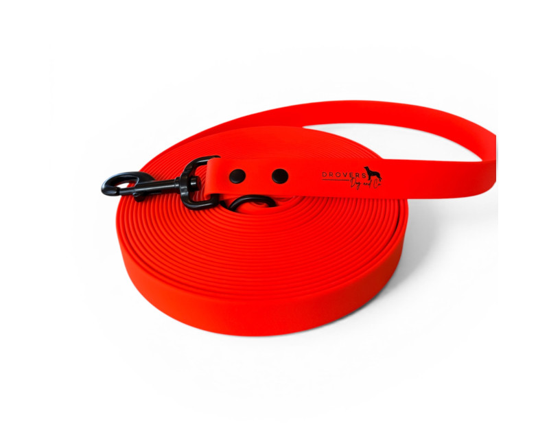 Photoroom 20260402 120827