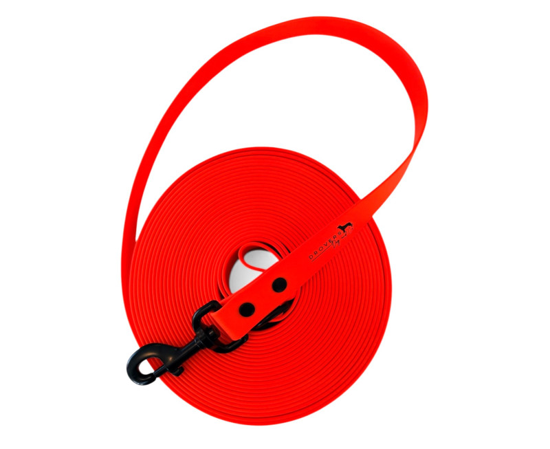 Photoroom 20260402 120936