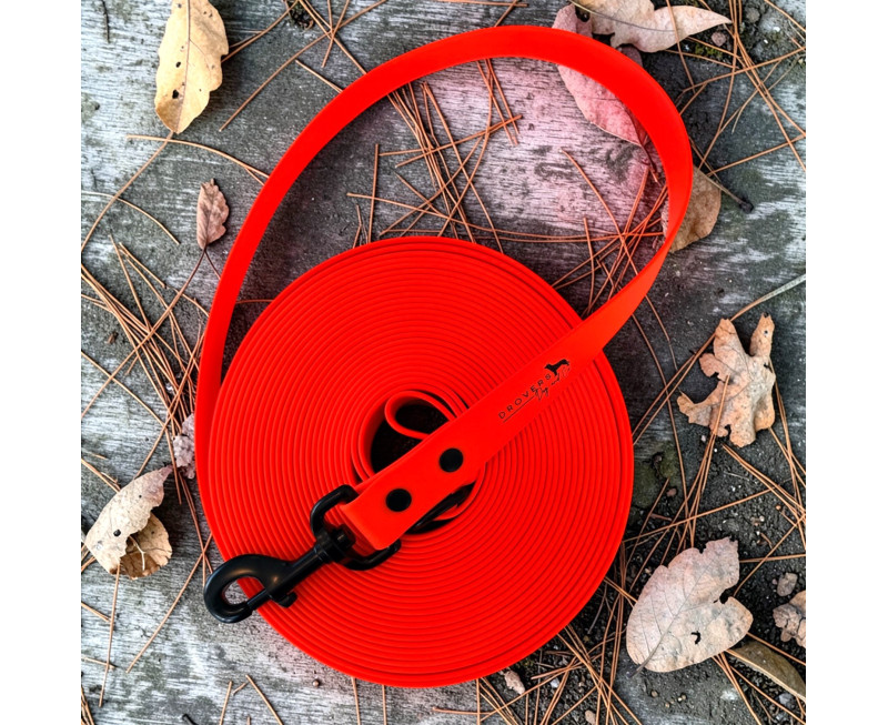 Photoroom 20260402 121056