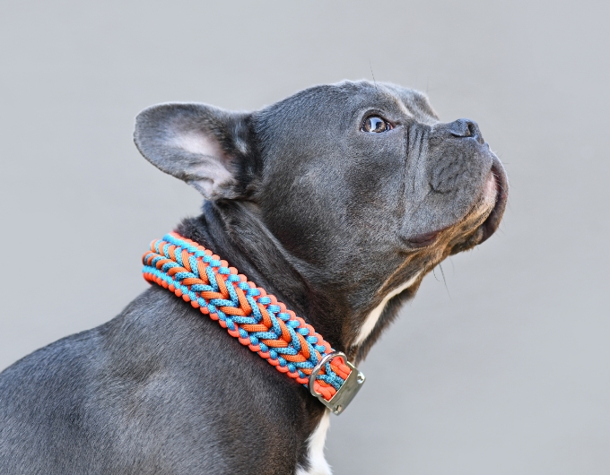 Handmade Collars 2