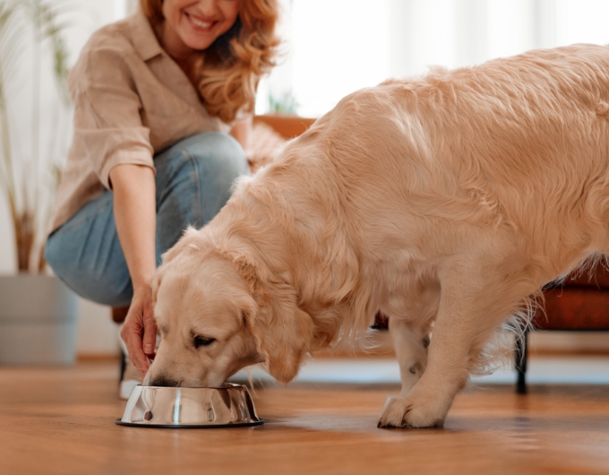 Joint Supplements 2