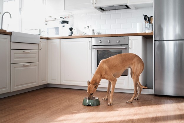 Dog Hip And Joint Supplements