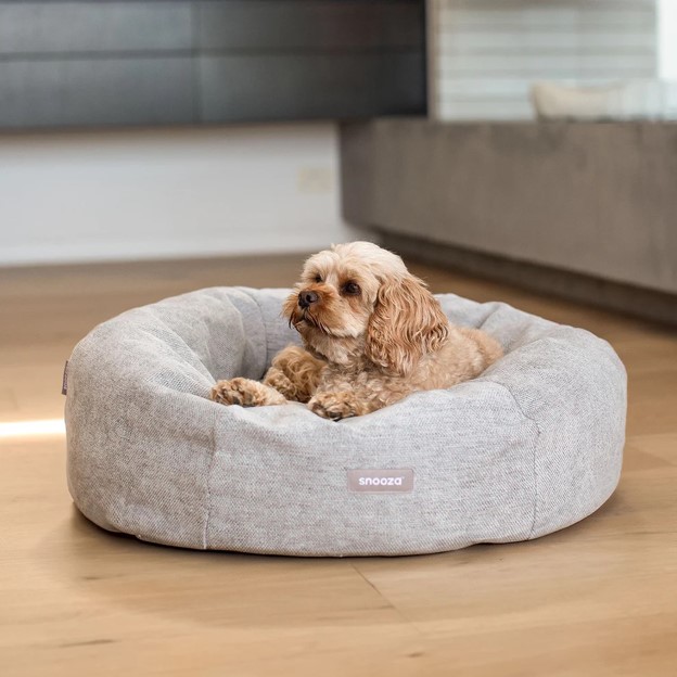 Comfortable With A Warm Bed